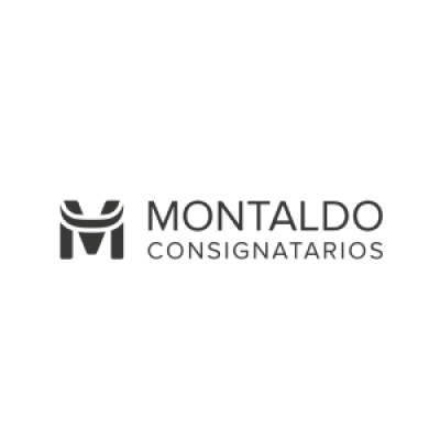 Montaldo